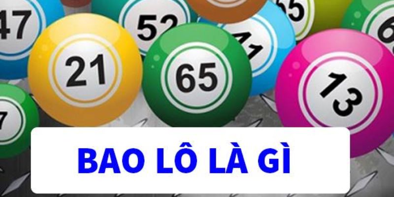 Bao lô là gì: Khái niệm cơ bản